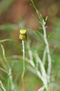 BUITEN BEELD Foto: 295901