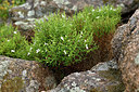 BUITEN BEELD Foto: 295902