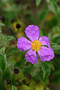 BUITEN BEELD Foto: 295904