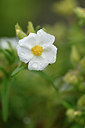 BUITEN BEELD Foto: 295908