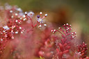 BUITEN BEELD Foto: 295928
