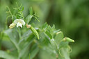 BUITEN BEELD Foto: 295935