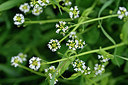BUITEN BEELD Foto: 295945