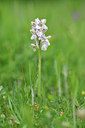BUITEN BEELD Foto: 295950