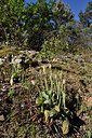 BUITEN BEELD Foto: 295961