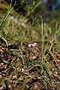 BUITEN BEELD Foto: 295962