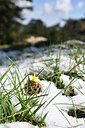 BUITEN BEELD Foto: 295964