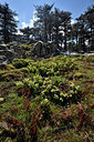 BUITEN BEELD Foto: 295965
