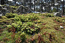 BUITEN BEELD Foto: 295966