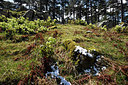 BUITEN BEELD Foto: 295967