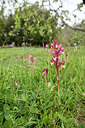 BUITEN BEELD Foto: 295971