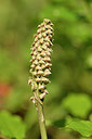 BUITEN BEELD Foto: 295996