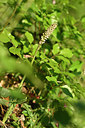 BUITEN BEELD Foto: 295997