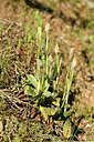 BUITEN BEELD Foto: 296003