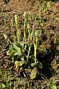 BUITEN BEELD Foto: 296004