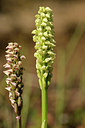 BUITEN BEELD Foto: 296007