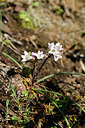 BUITEN BEELD Foto: 296009