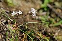 BUITEN BEELD Foto: 296010