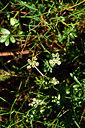 BUITEN BEELD Foto: 296019