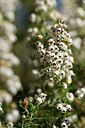BUITEN BEELD Foto: 296020