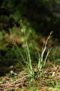 BUITEN BEELD Foto: 296022