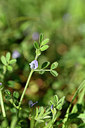 BUITEN BEELD Foto: 296026
