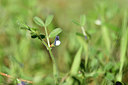BUITEN BEELD Foto: 296028