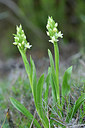 BUITEN BEELD Foto: 296041