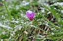 BUITEN BEELD Foto: 296053
