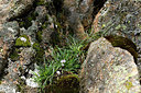 BUITEN BEELD Foto: 296073
