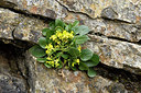 BUITEN BEELD Foto: 296075