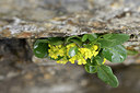 BUITEN BEELD Foto: 296077