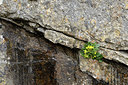 BUITEN BEELD Foto: 296079