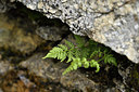 BUITEN BEELD Foto: 296080