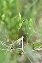 BUITEN BEELD Foto: 296083