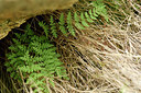 BUITEN BEELD Foto: 296091