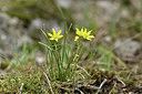 BUITEN BEELD Foto: 296094