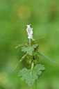 BUITEN BEELD Foto: 296101