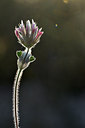 BUITEN BEELD Foto: 296120