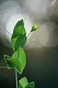 BUITEN BEELD Foto: 296122