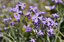 BUITEN BEELD Foto: 296174