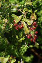BUITEN BEELD Foto: 296193