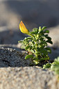 BUITEN BEELD Foto: 296268