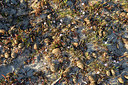 BUITEN BEELD Foto: 296280
