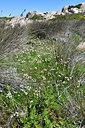 BUITEN BEELD Foto: 296286