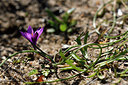 BUITEN BEELD Foto: 296299