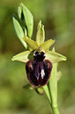 BUITEN BEELD Foto: 296301