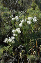 BUITEN BEELD Foto: 296302