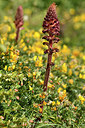 BUITEN BEELD Foto: 296320