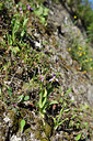 BUITEN BEELD Foto: 296335